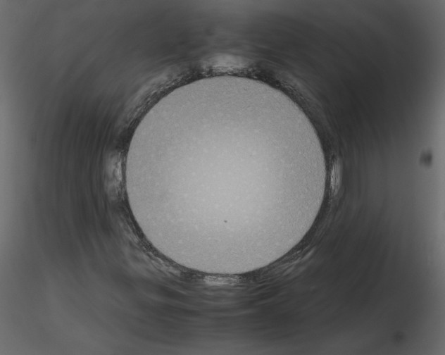 X0000115721299200912241556