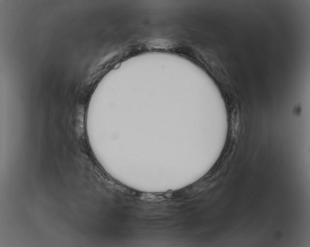 X0000115721301200912241556