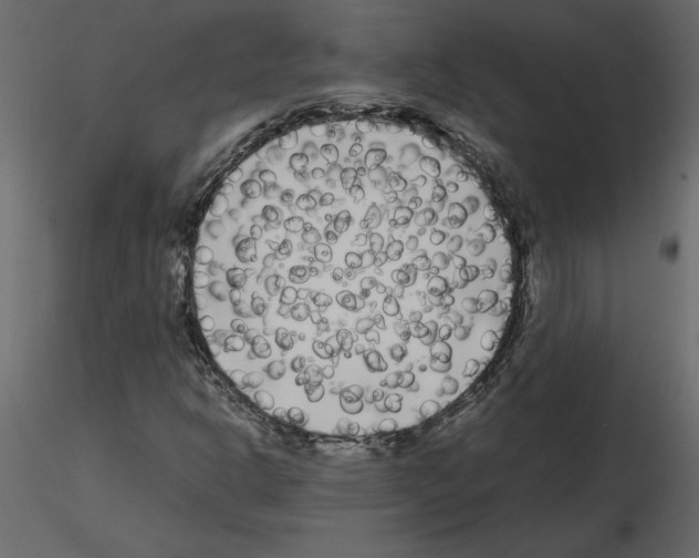 X0000115721302200912241556