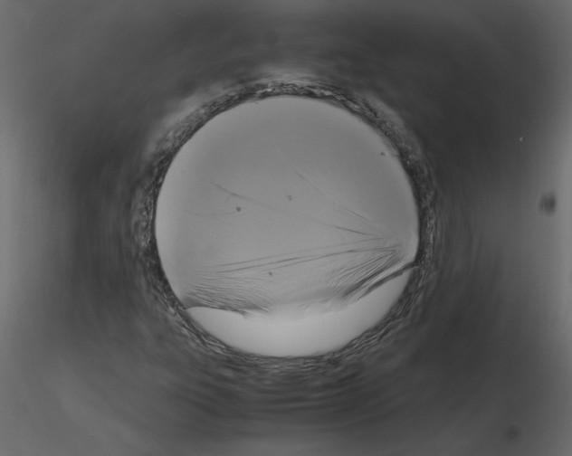 X0000115721303200912241556