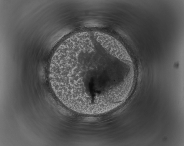 X0000115721305200912241556
