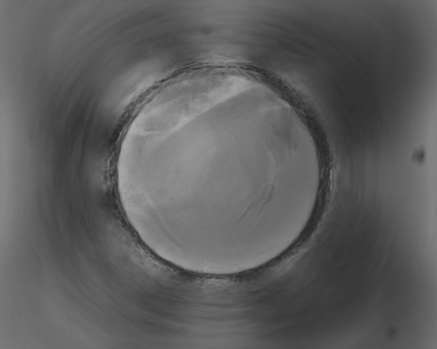 X0000115721306200912241556