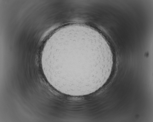 X0000115721307200912241556