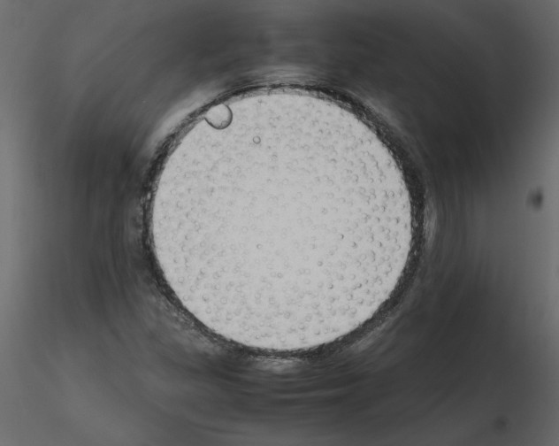 X0000115721309200912241556