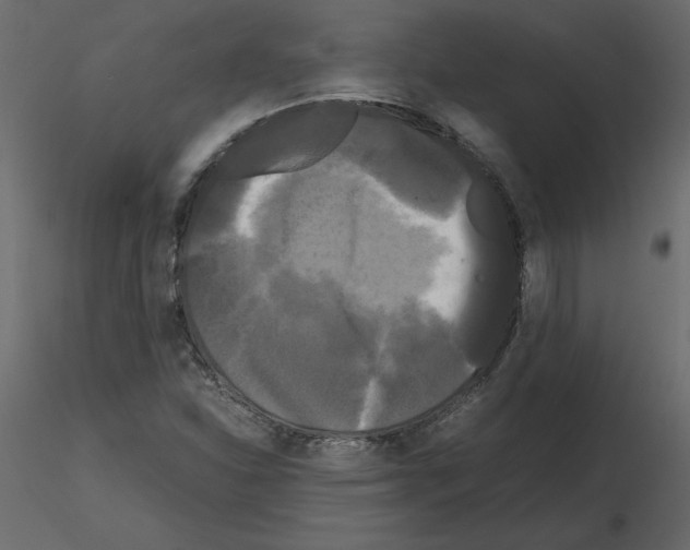 X0000115721310200912241556