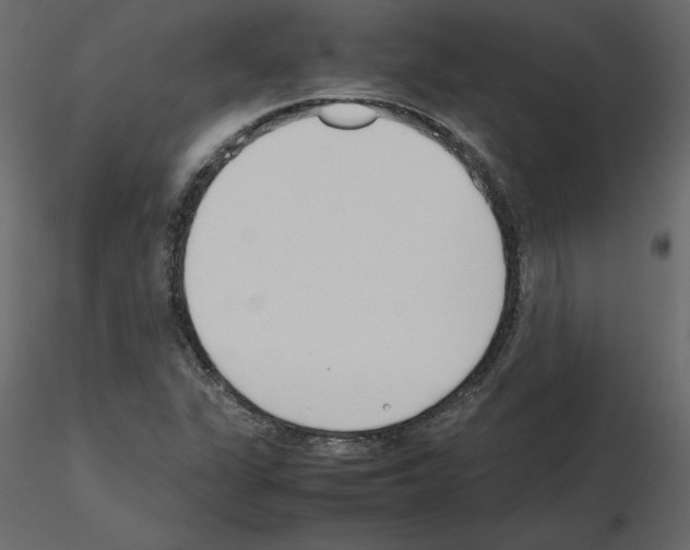 X0000115721311200912241556