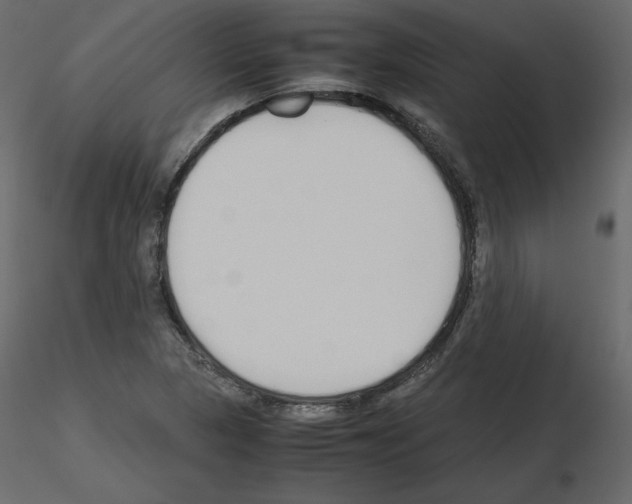 X0000115721313200912241556