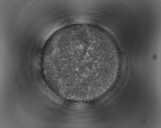 X0000115721314200912241556