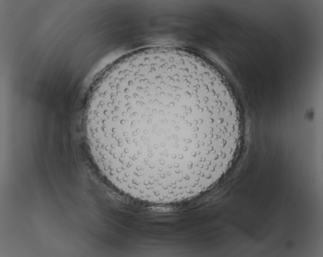 X0000115721315200912241556