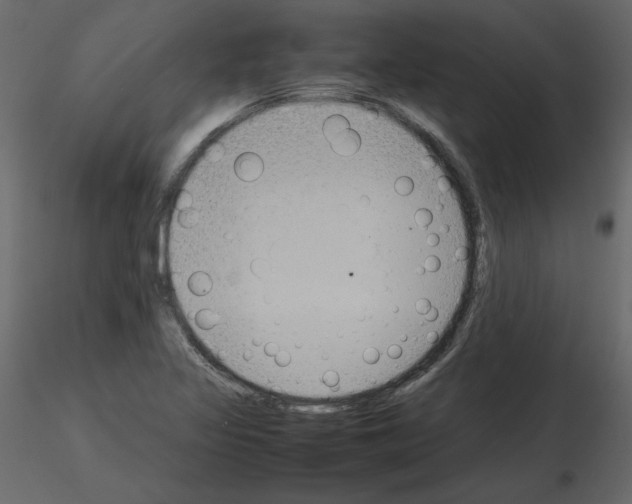 X0000115721317200912241556