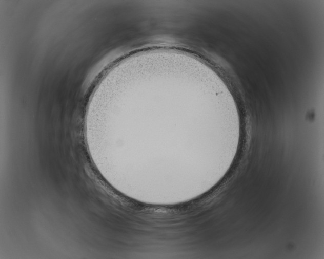 X0000115721318200912241556