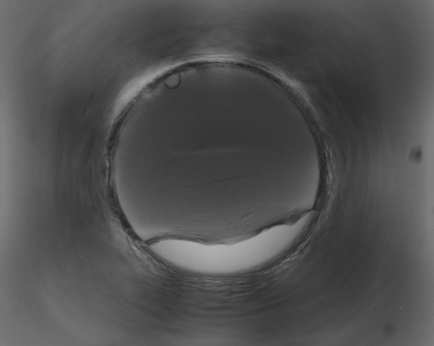 X0000115721319200912241556