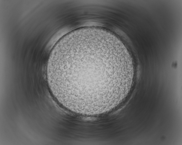 X0000115721321200912241557