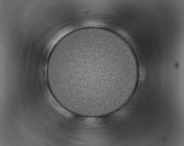 X0000115721322200912241557