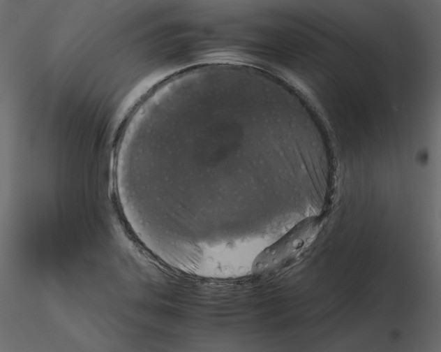 X0000115721323200912241557