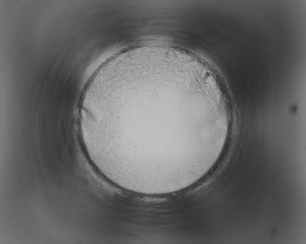 X0000115721325200912241557