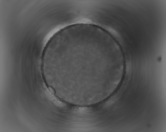 X0000115721326200912241557