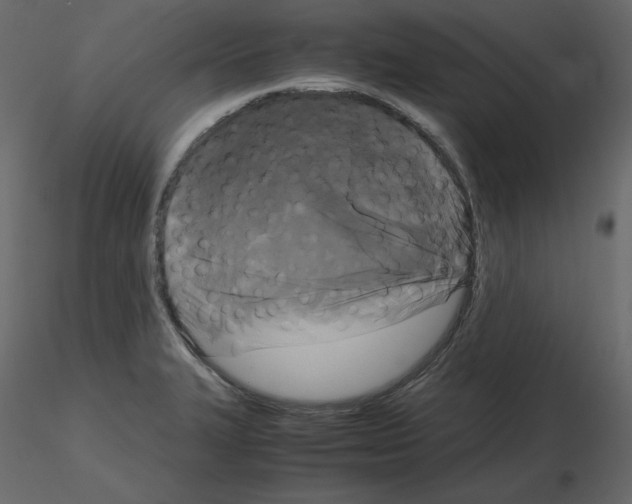 X0000115721327200912241557