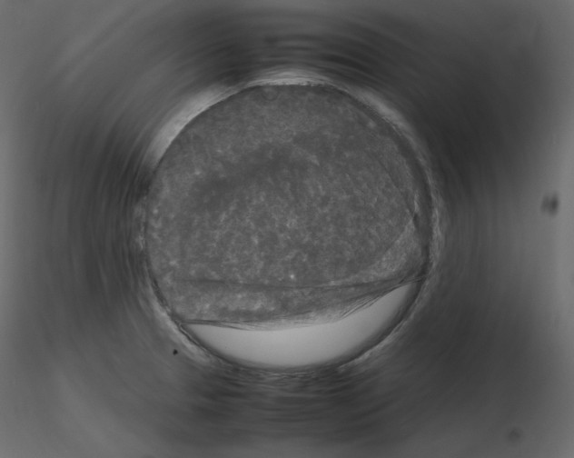 X0000115721329200912241557