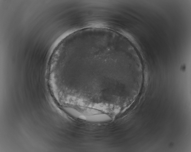 X0000115721331200912241557