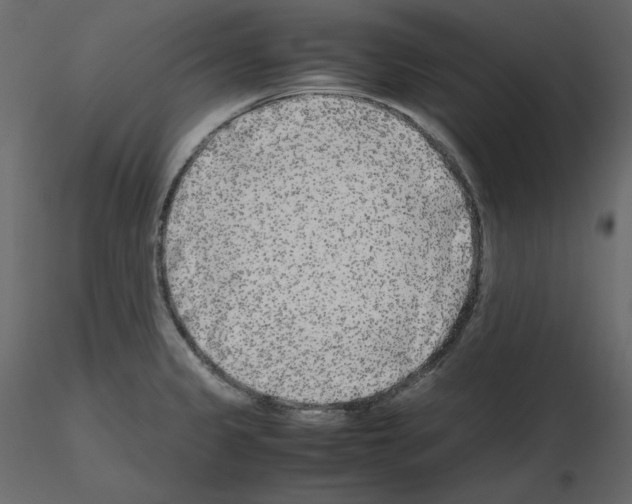 X0000115721333200912241557
