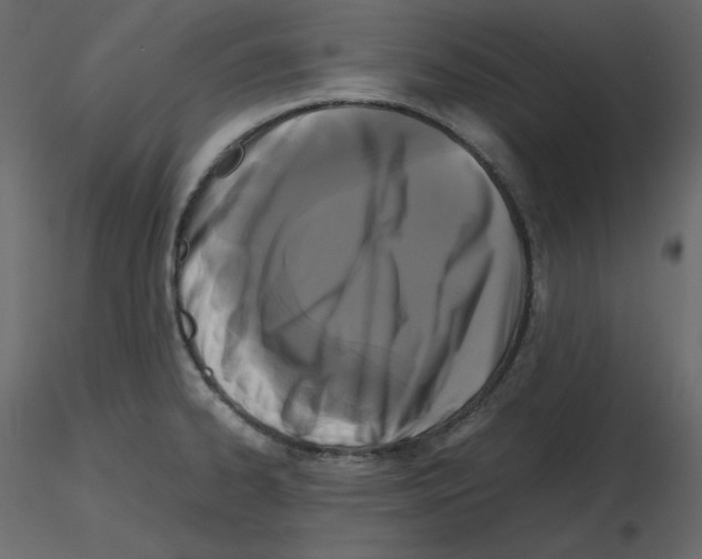 X0000115721334200912241557