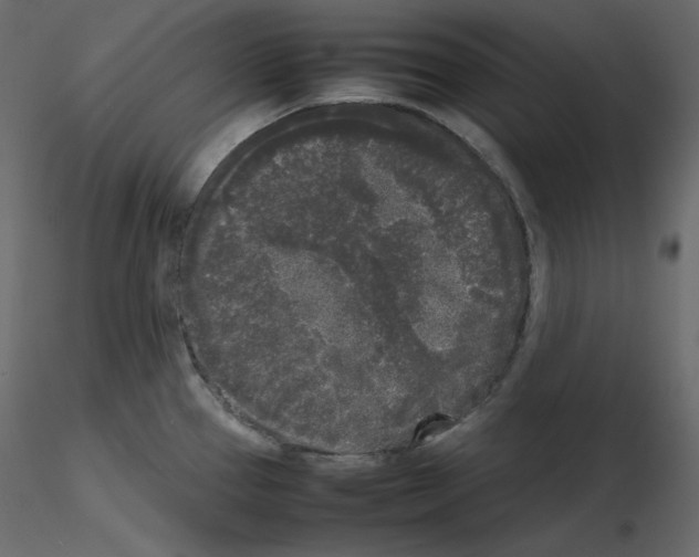 X0000115721337200912241557