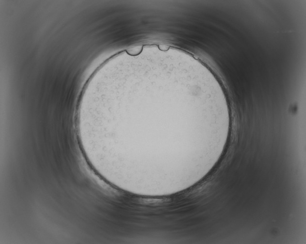 X0000115721339200912241557