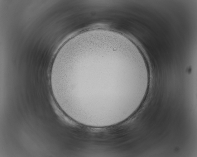 X0000115721341200912241557