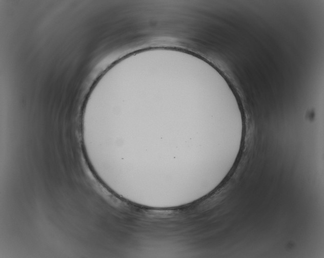 X0000115721342200912241557