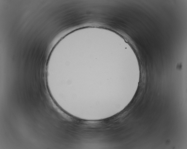 X0000115721343200912241557