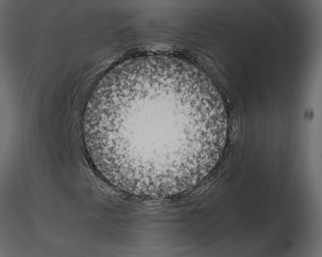 X0000115721345200912241556
