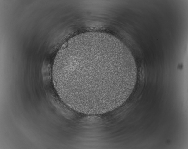 X0000115721346200912241556