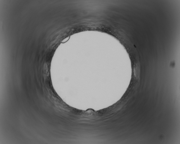 X0000115721347200912241556