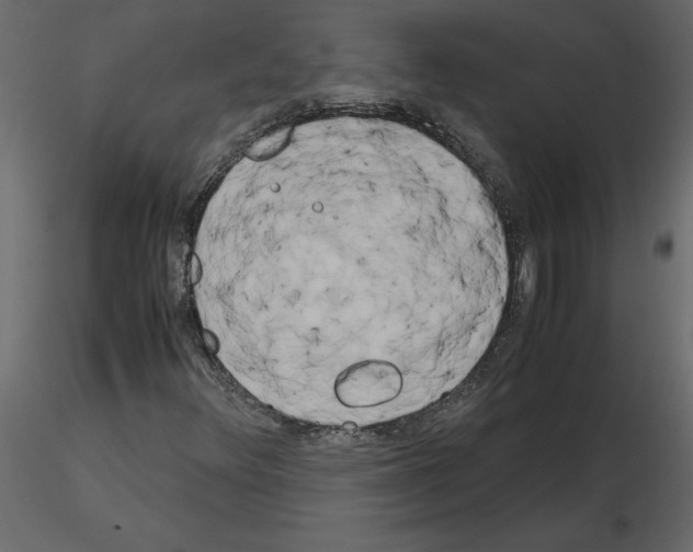 X0000115721348200912241556