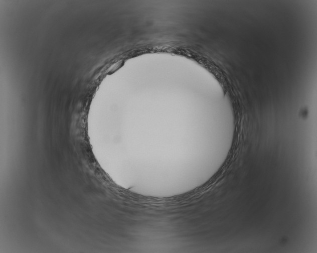 X0000115721349200912241556