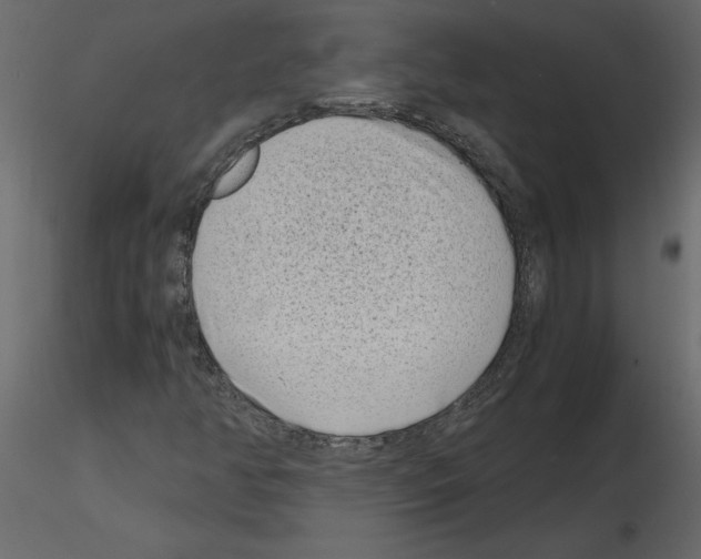 X0000115721350200912241556