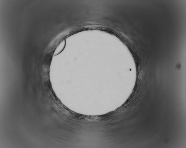 X0000115721351200912241556