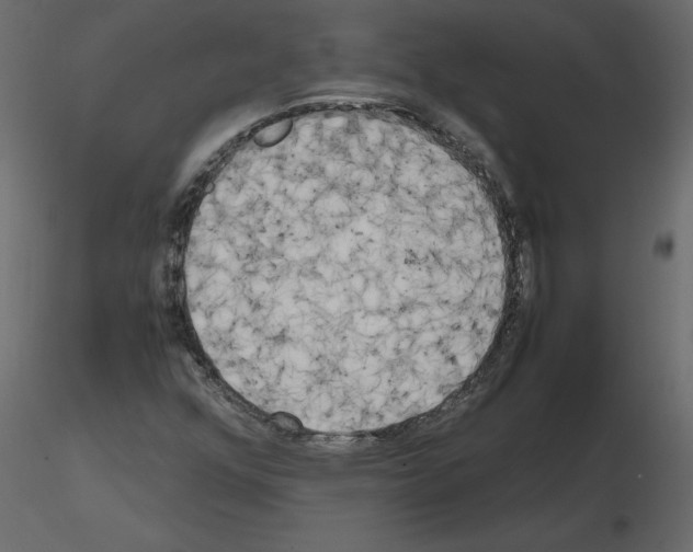 X0000115721352200912241556