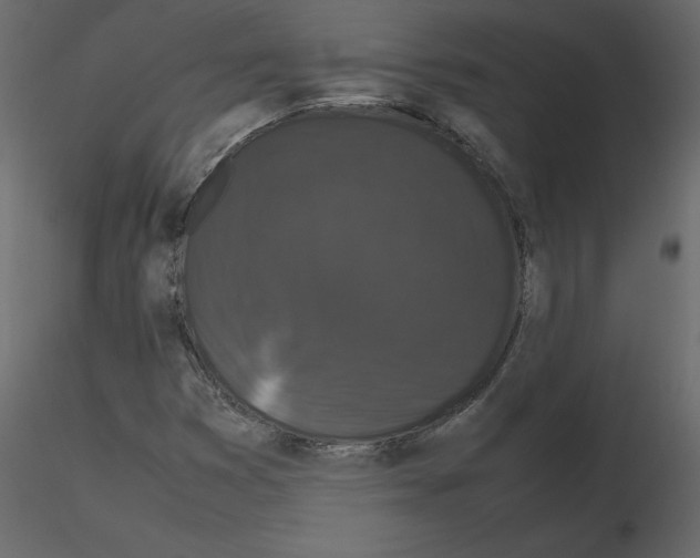 X0000115721353200912241556