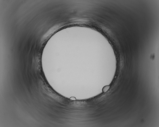X0000115721354200912241556