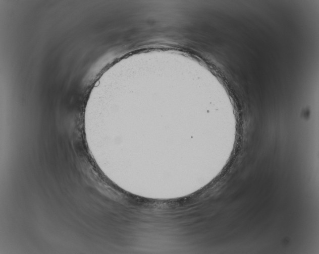X0000115721355200912241556