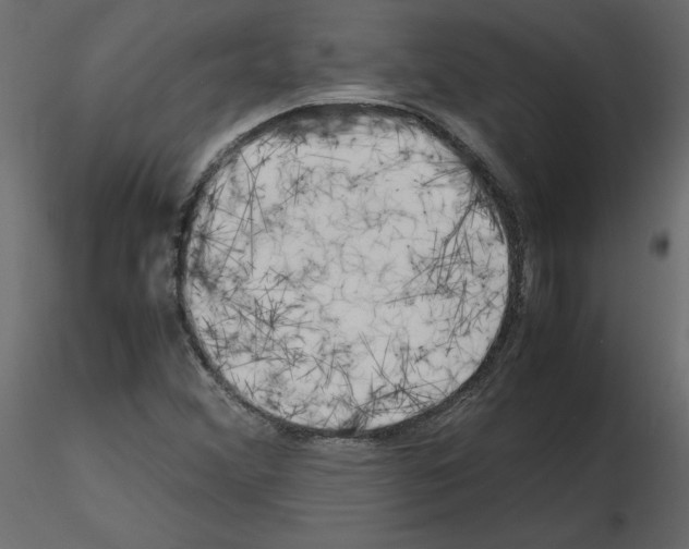 X0000115721356200912241556
