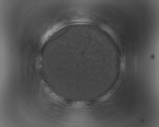 X0000115721357200912241556