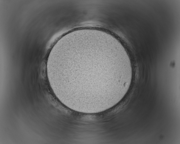 X0000115721358200912241556
