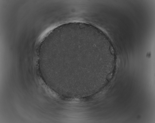 X0000115721359200912241556
