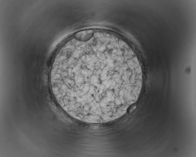 X0000115721360200912241556