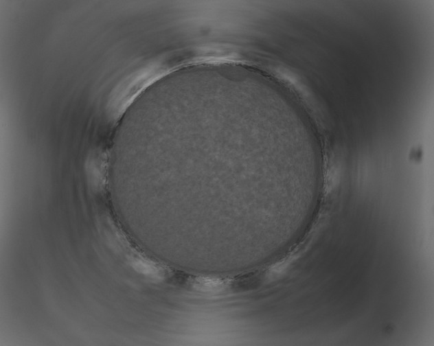X0000115721361200912241556