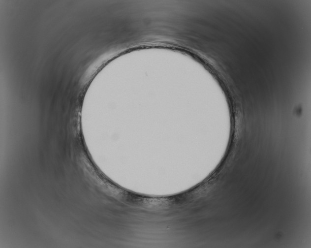 X0000115721363200912241556