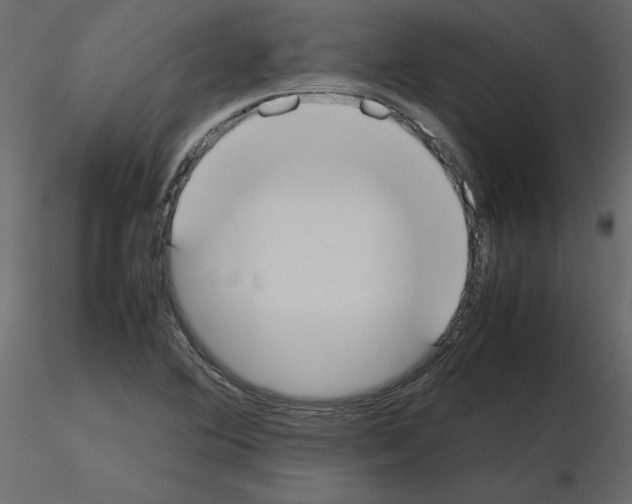 X0000115721364200912241556